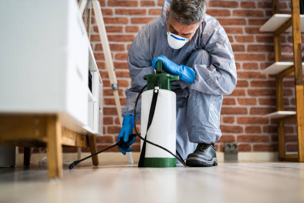 Best Pest Prevention Services  in USA